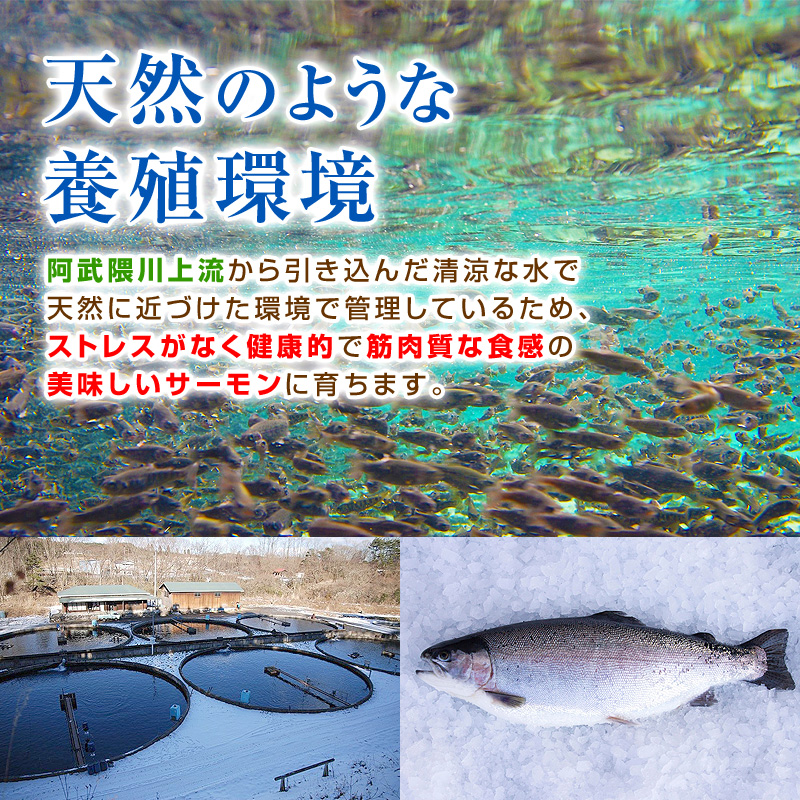 天然のような養殖環境。阿武隈川上流から引き込んだ清涼な水で天然に近づけた環境で管理しているため、ストレスがなく健康的で筋肉質な食感の美味しいサーモンに育ちます。