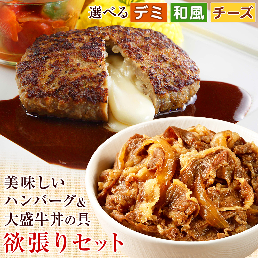 牛丼とハンバーグのセット