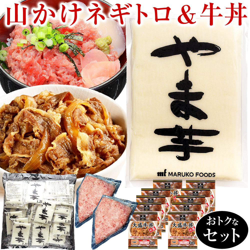 山かけネギトロ＆牛丼セット