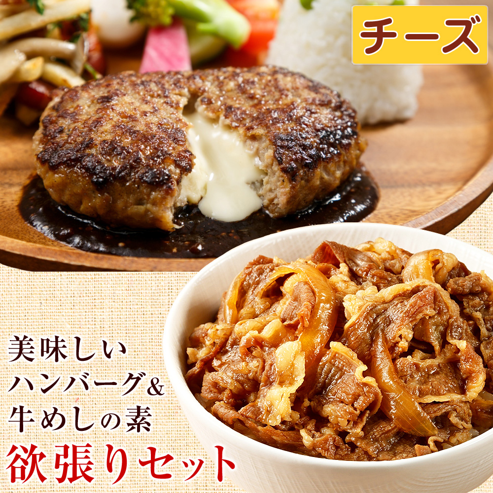 デミ・和風・チーズから選べる ベストの美味しい ハンバーグ ＆ 日東