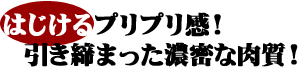 はじけるプリプリ感！引き締まった濃密な肉質！