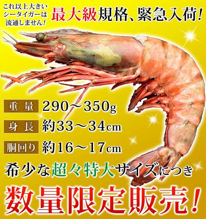 天然シータイガー皇帝の海老