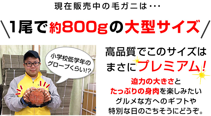 特大サイズ（約800g）は高品質でこのサイズはまさにプレミアム！迫力の大きさとたっぷりの身肉を楽しみたい方に！味噌の量は小さいサイズとさほど変わりません。