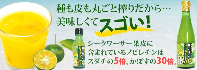 【SALE／37%OFF】 亀吉商店Yahoo!店 - Yahoo!ショッピング ブースター・導入液