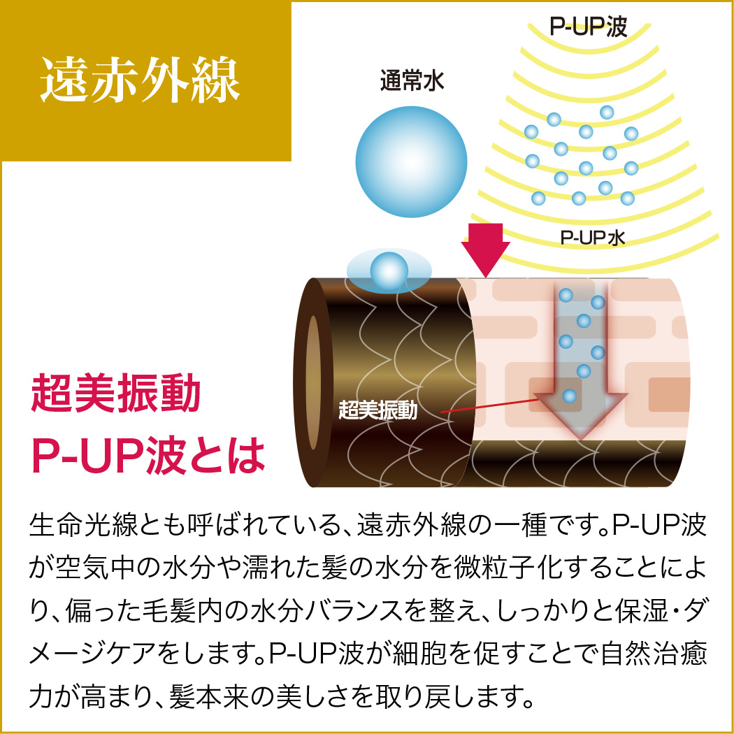 P-UP CREA Hair Dryer ピーアップクレアヘアドライヤー ホワイト【テラヘルツ】フロンテ : creaw : 亀吉商店Yahoo!店  - 通販 - Yahoo!ショッピング