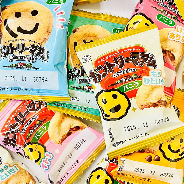 カントリーマアム　バニラ　240個　送料無料 不二家 大量 お菓子 詰め合わせ お試し 訳あり ビスケット チョコレート カントリーマアム 限定 | 不二家