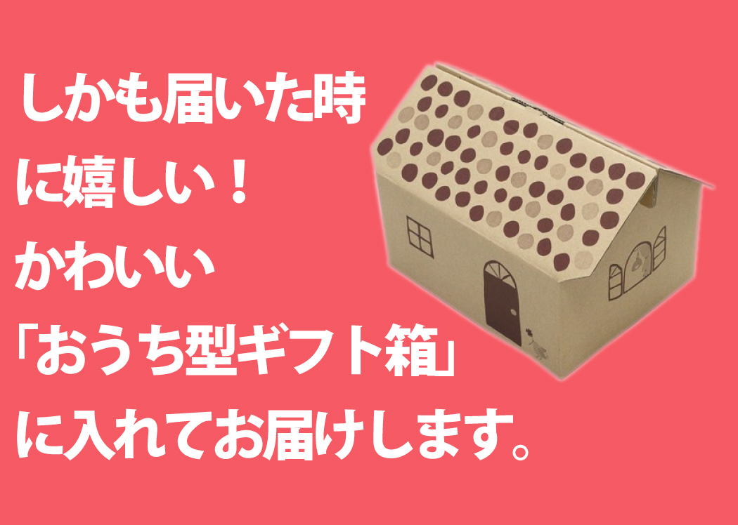 キティちゃん　9個セット 銀鳥産業 サンリオ こむぎんちょ専用 ねんど押し型 ワッフル屋