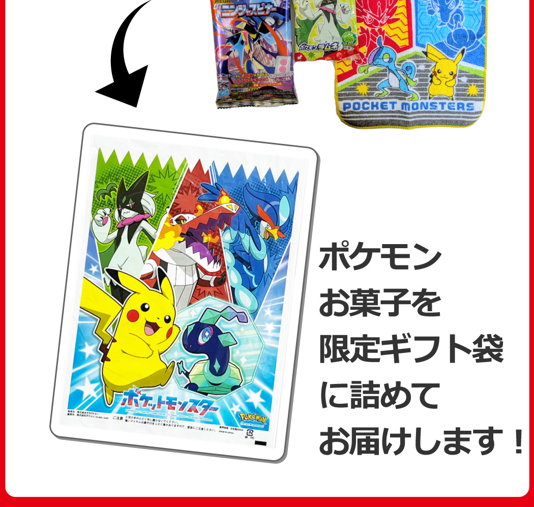 今なら「おまけ付き」 ポケモンギフト袋付！ ポケモン 6種類 合計9点