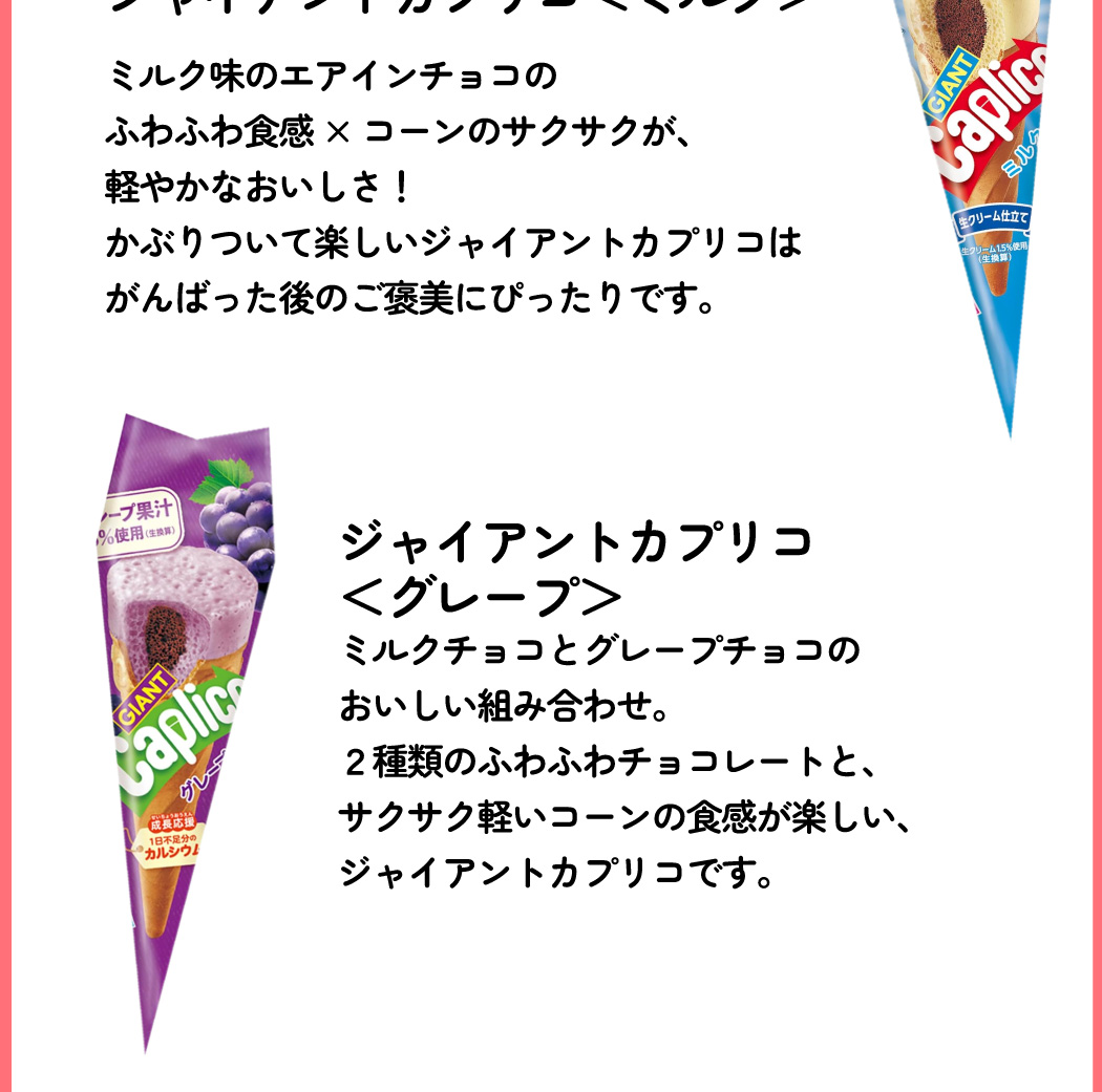 Caplico インパクト大！ 宝箱入り！ ジャイアント カプリコ