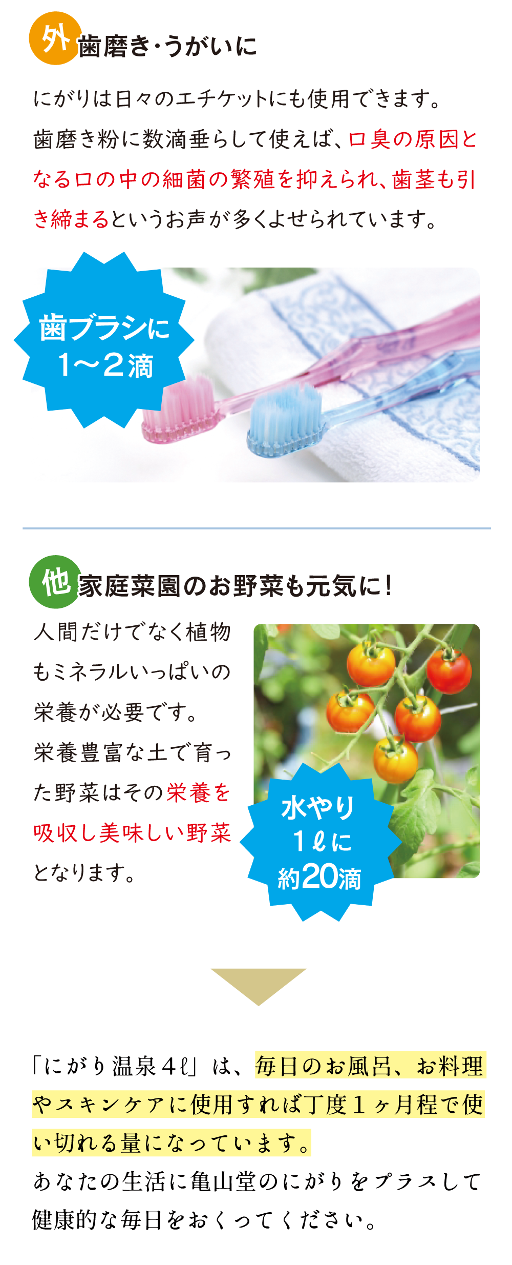 亀山堂 にがり温泉 （ 4L ） にがり 入浴剤 スキンケア 保湿 発汗