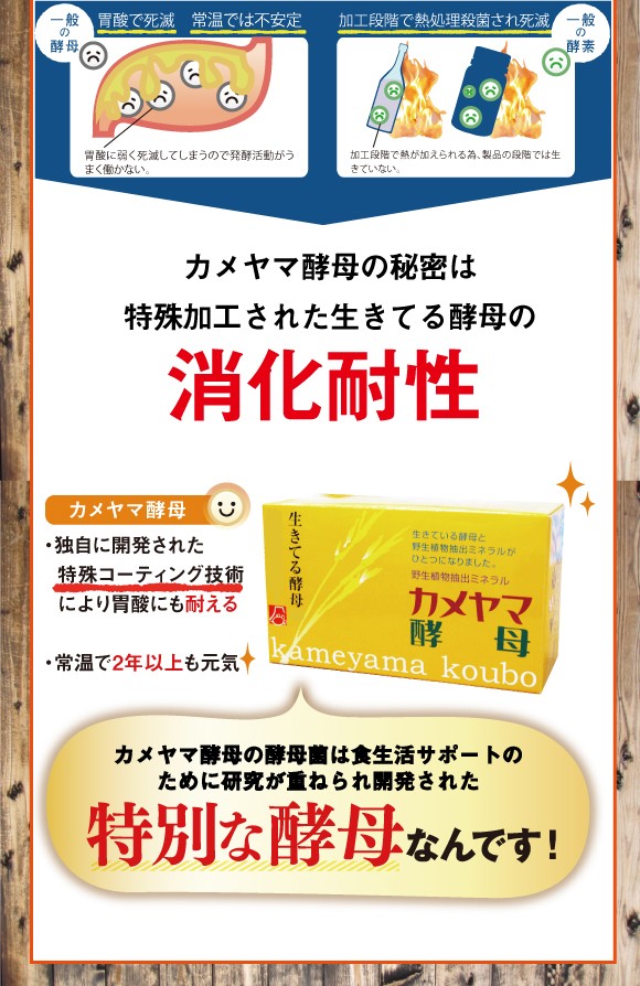 酵母 サプリメント カメヤマ酵母 さわやかヨーグルト味 1箱 【正規品