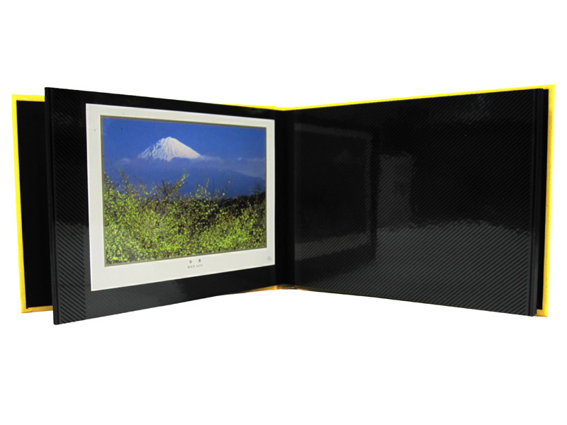 DELFONICS PD08ベーシックアルバム Amazon.co.jp: デルフォニックス PDフォトアルバムベーシックA4