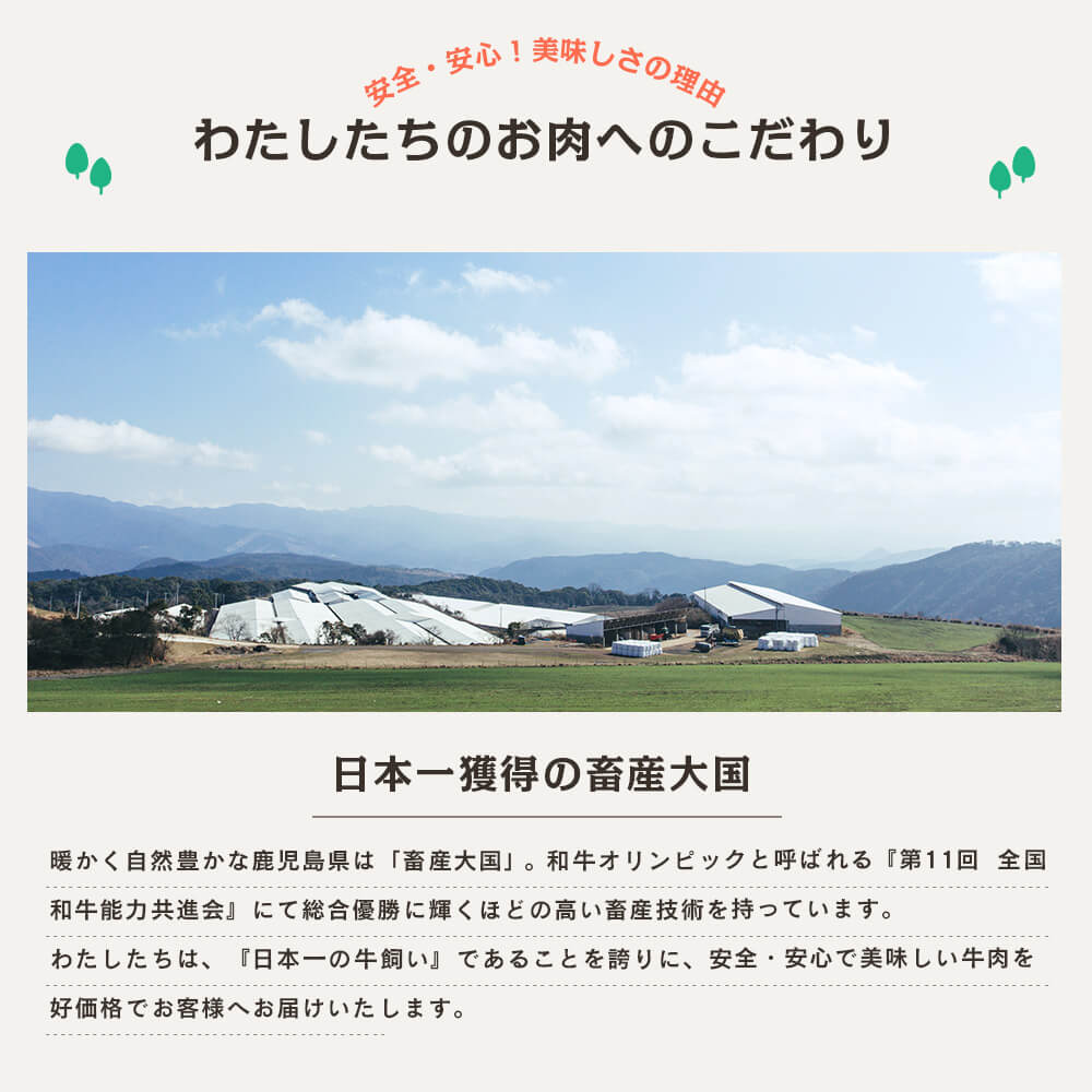 鹿児島県産 豚 食べ比べ4種セット 合計1.25kg しゃぶしゃぶ 生姜焼き とんかつ トンテキ こまぎれ｜kamichiku｜09