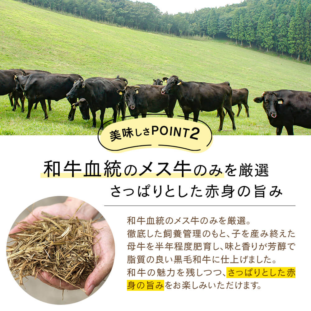 九州産 黒毛和牛 切り落とし 3kg(300g×10)｜kamichiku｜03
