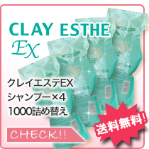 シャンプー1000×4個