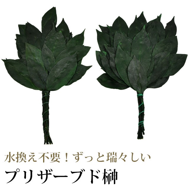 プリザーブド榊 一対