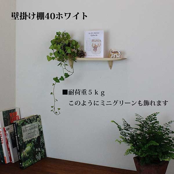 トイレインテリア おしゃれな壁棚 石膏ボード壁専用40ホワイト ピン