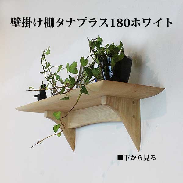 壁掛け インテリア タナプラス180ホワイト おしゃれ 耐荷重10kg