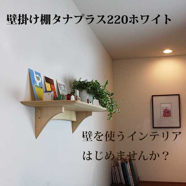 壁掛け棚 タナプラス220ホワイト 石膏ボードOK ウォールシェルフ