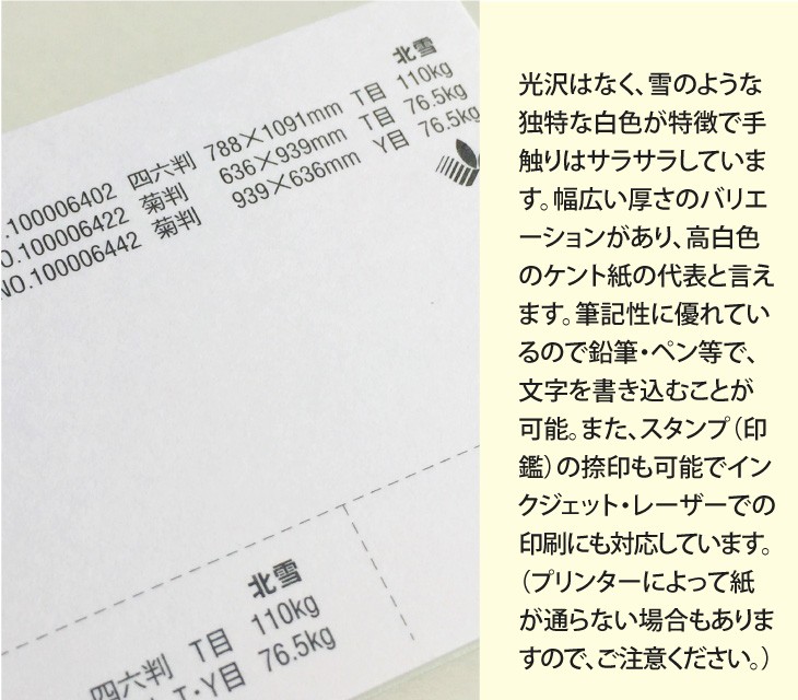 ケント紙 北雪 90kg(0.12mm) 選べる4サイズ(A3 A4 B4 B5) (色画用紙) :hokusetu-90kg:KAMIOLSHOP  Yahoo!店 - 通販 - Yahoo!ショッピング