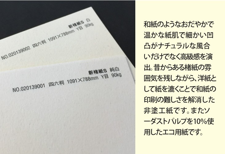 新楮紙S 90kg(0.18mm) 選べる4サイズ(A3 A4 B4 B5) 特殊紙 ファンシーペーパー 印刷用紙 和紙  :shinkouzoshi-s-90:KAMIOLSHOP Yahoo!店 - 通販 - Yahoo!ショッピング