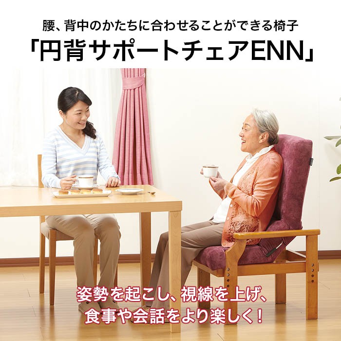 フランスベッド 円背サポートチェア ENN-01 ENN-02 椅子 高座椅子 肘付 円背 腰対策