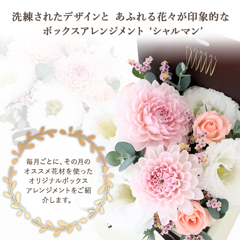 花 ギフト この時期におすすめ お花 9月 ダ...の詳細画像3