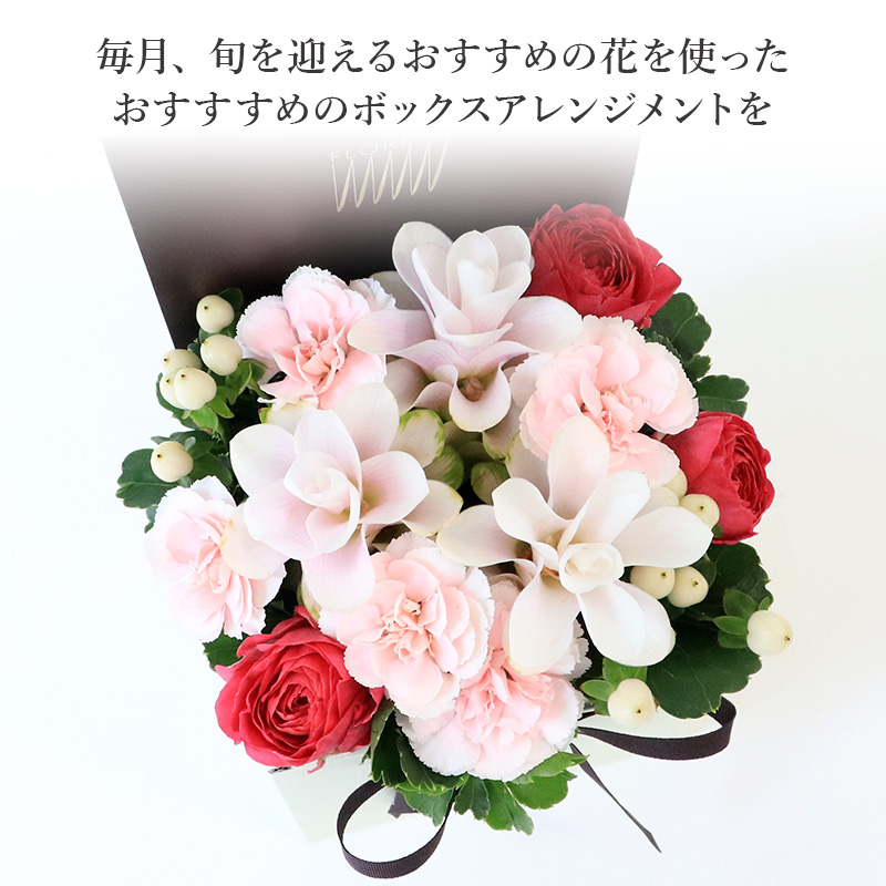 �� �M�t�g  ���̎����ɂ������� ���� 8�� �N���N�} �a���� �t�����A�� �}���X���[���R�����h �V�����}�� ���� �{�b�N�X ���� �֘A�摜1