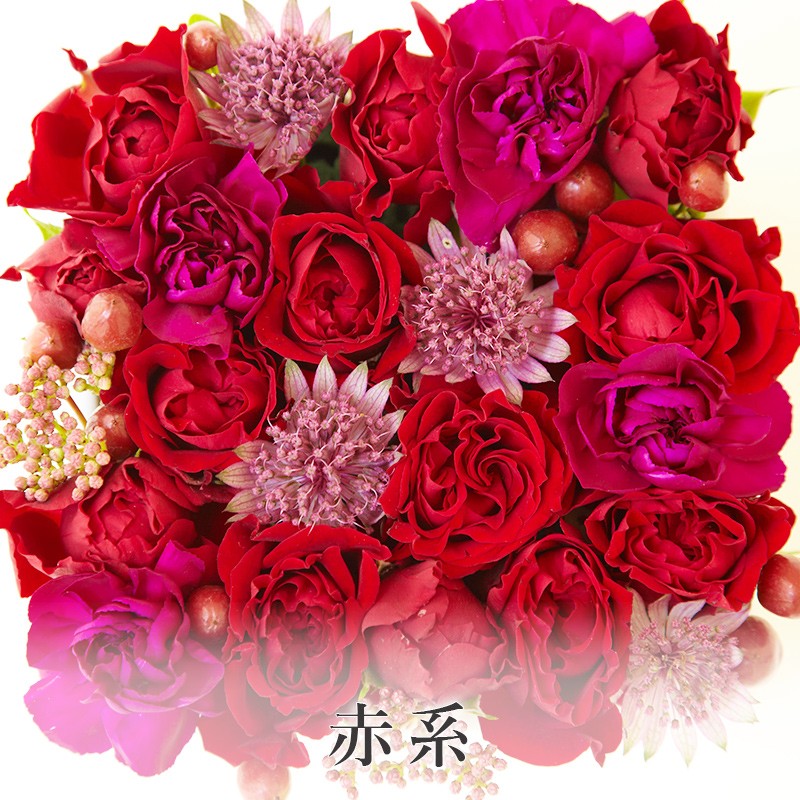 花 ギフト 誕生日 フロレアル シャンパーニュ M （６色から選択！）≪長持ちする上質な お花≫ 優良配送 送料無料 バラ プレゼント フラワーボックス｜kamon-hanay｜02
