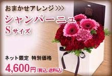 シャンパーニュS