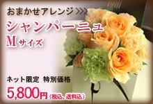 シャンパーニュM
