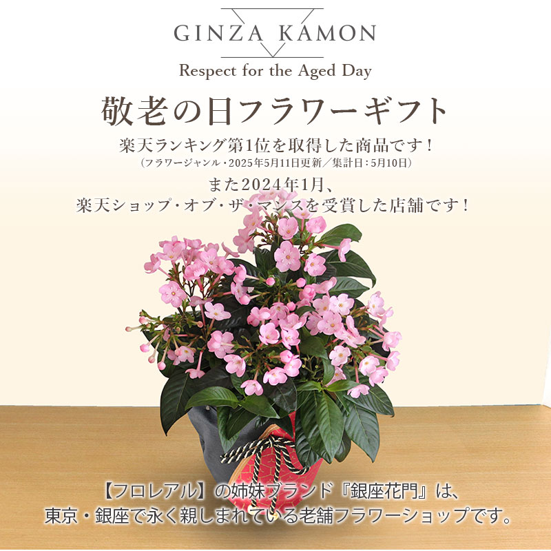 敬老の日 ギフト 2026 におい桜 5号鉢 ...の詳細画像2