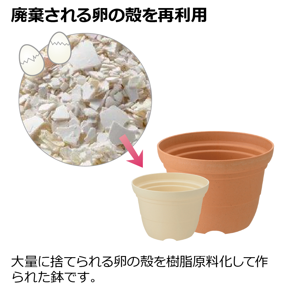 ひよっこポット4号