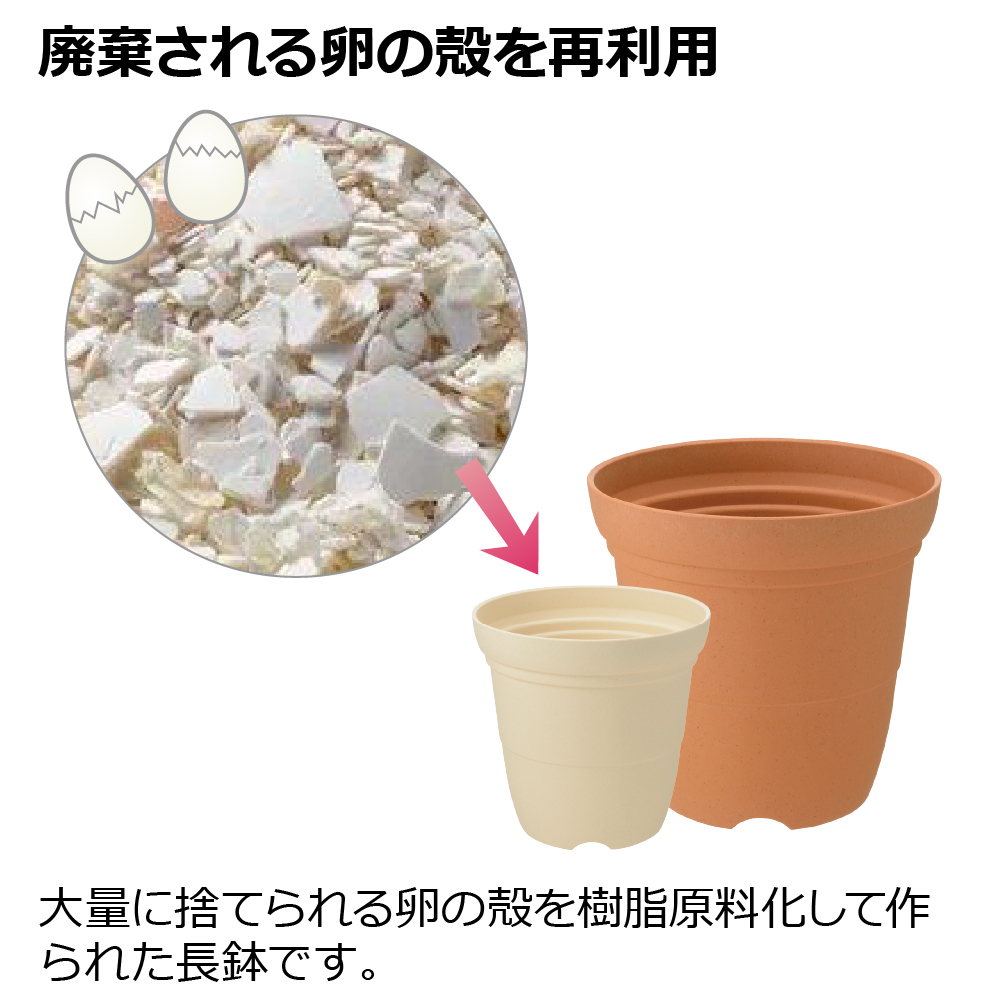 ひよっこハイポット4号