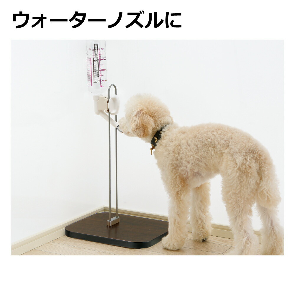 Nウォータースタンド名入れ