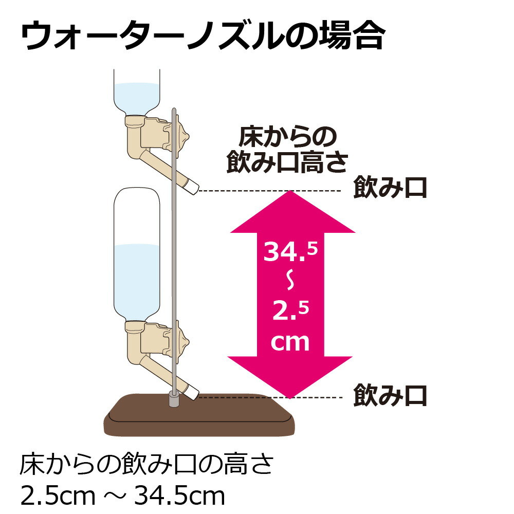 Nウォータースタンド名入れ