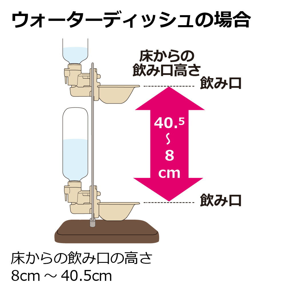 Nウォータースタンド名入れ