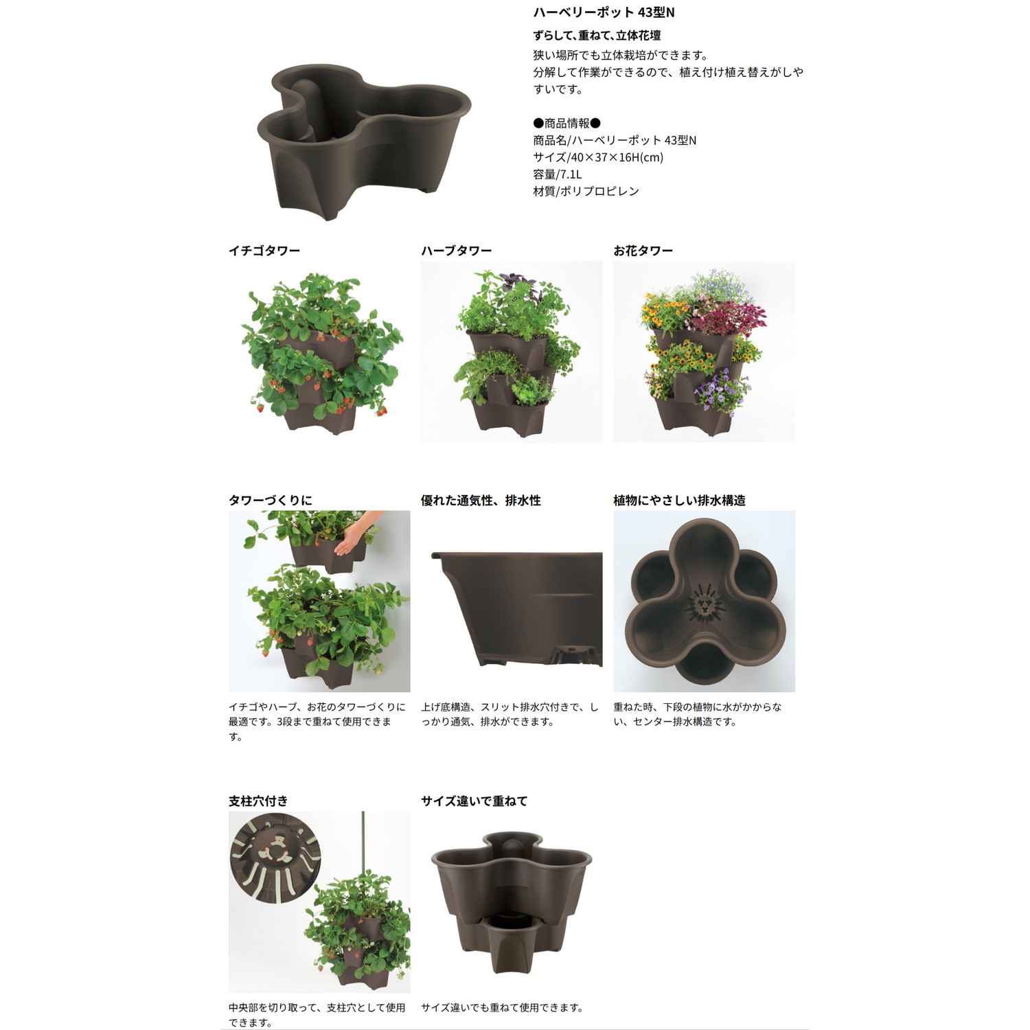 ハーベリーセット