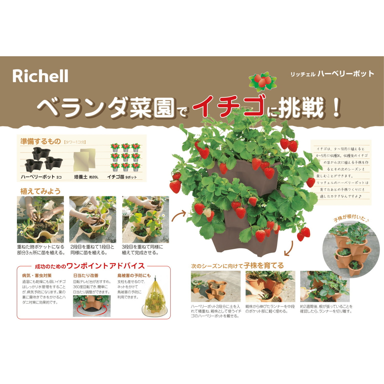 ハーベリーセット