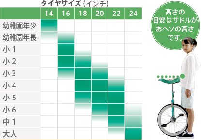ミヤタ 一輪車 フラミンゴ エキスパート 24インチ 日本一輪車協会認定 