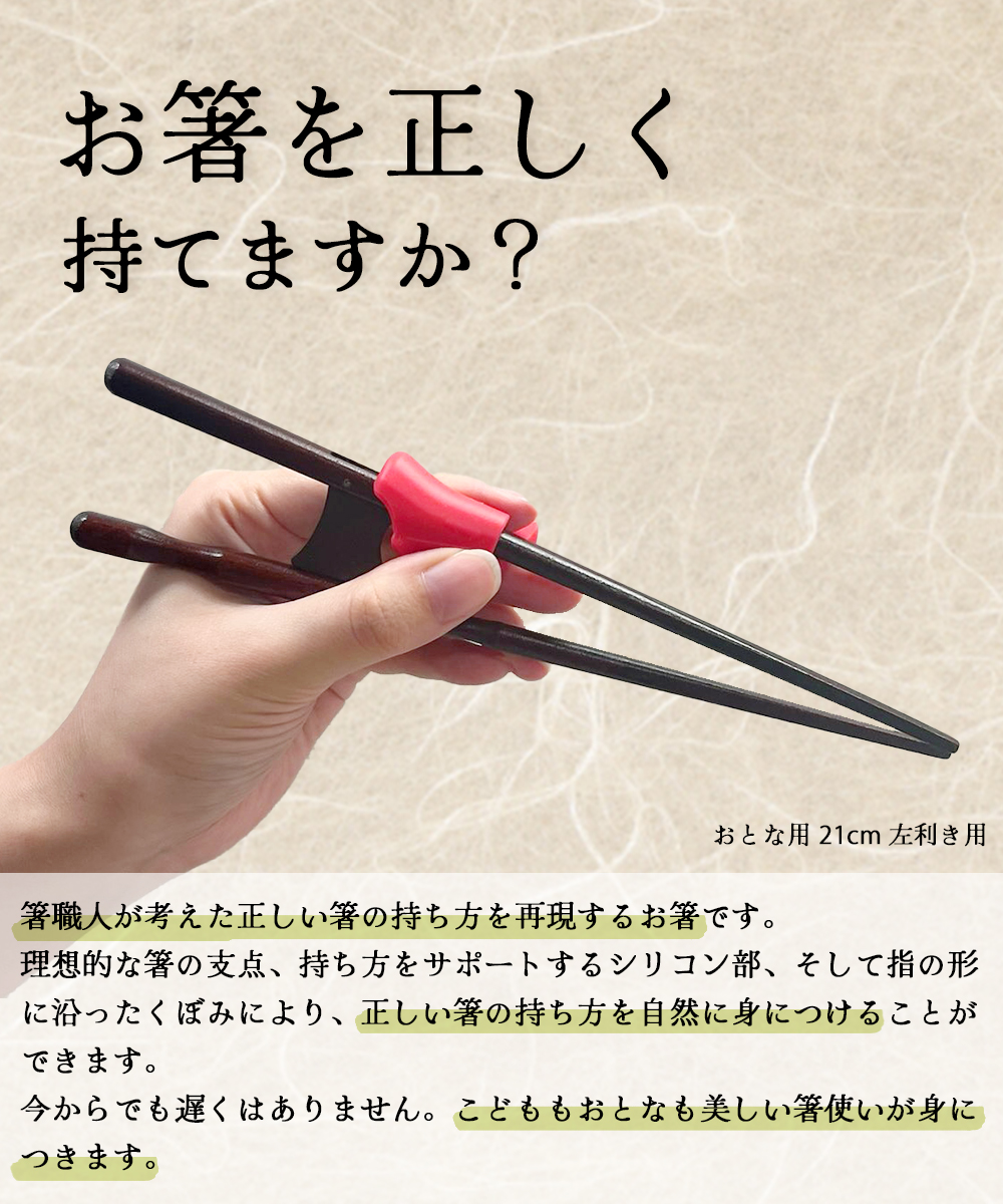 お箸を正しく ちゃんと箸 きちんと箸 うるし仕上 イシダ 若狭塗箸 日本