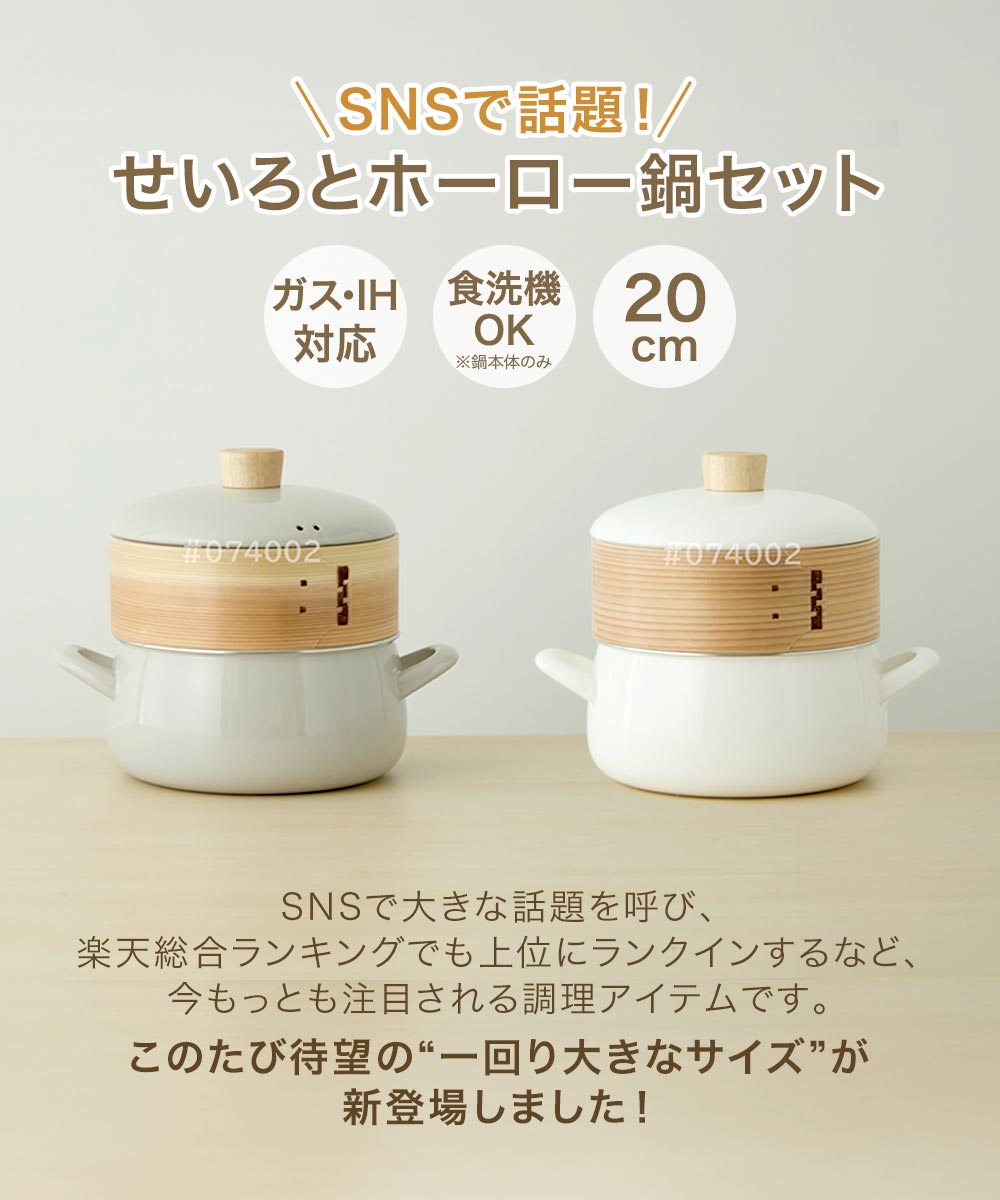 富士ホーロー ホーロー鍋 せいろ20cm付き セット ガス火 IH 対応 食洗