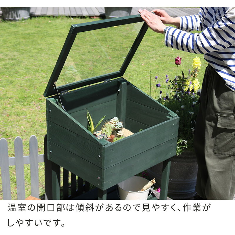 温室 小型温室 木製 アクリル窓付グリーンハウス（温室）おしゃれ 