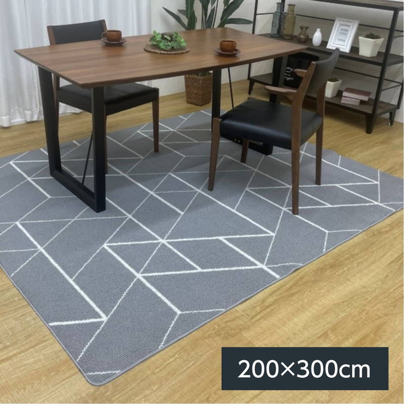 イケヒコ ダイニングラグ カーペット ラエル 長方形 200×300cm 平織