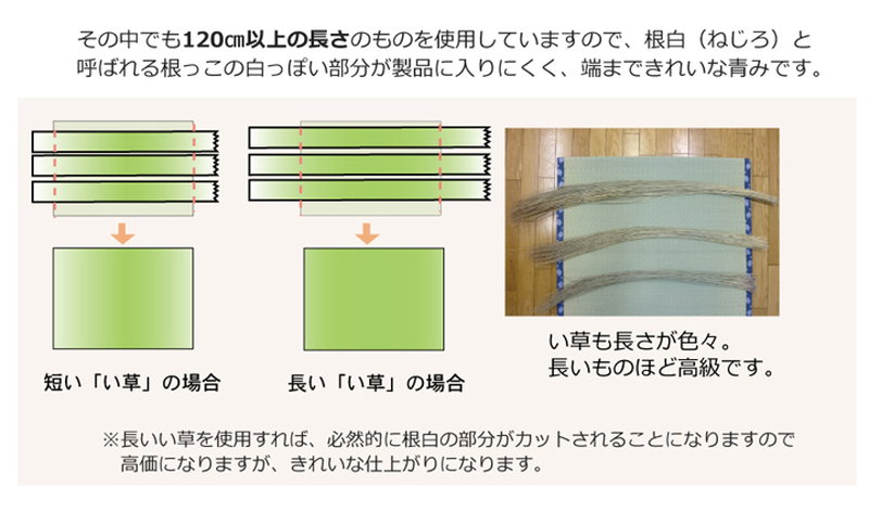 い草カーペット ラグ マット 六一間 8畳 約370×370cm 夏用 ござ 畳の上敷 畳の上に敷くもの 国産