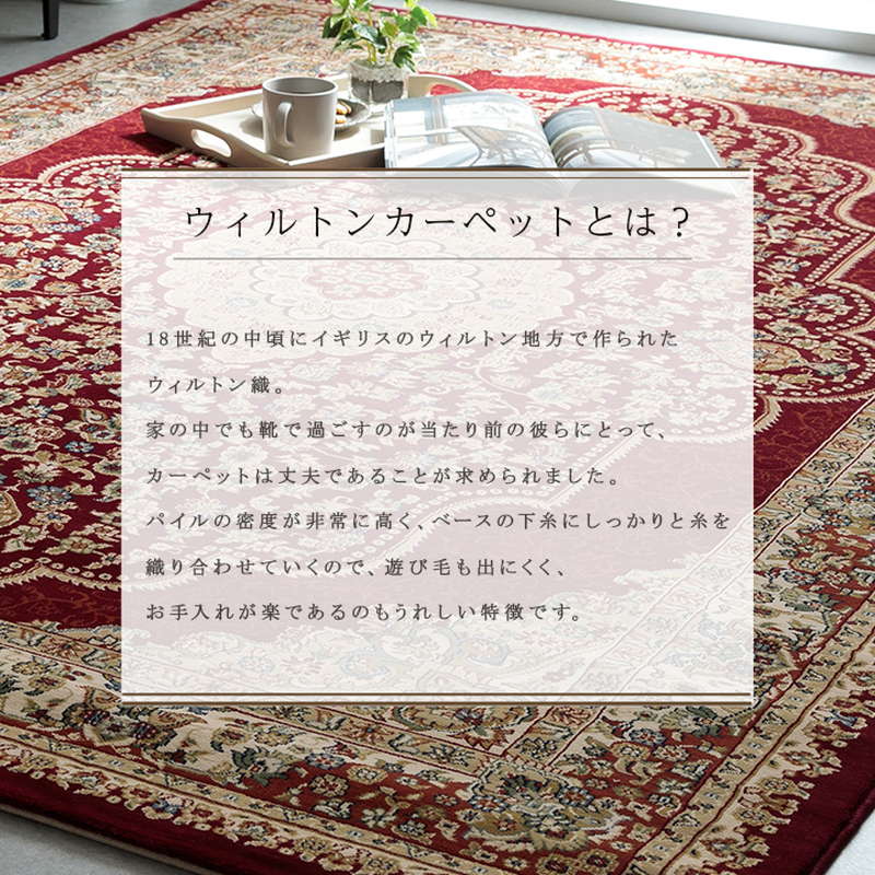 カーペット 絨毯 高級ラグマット 長方形 200×300cm トルコ製 最高級 ウィルトン織カーペット クラシック メダリオン柄 エレガンス_6