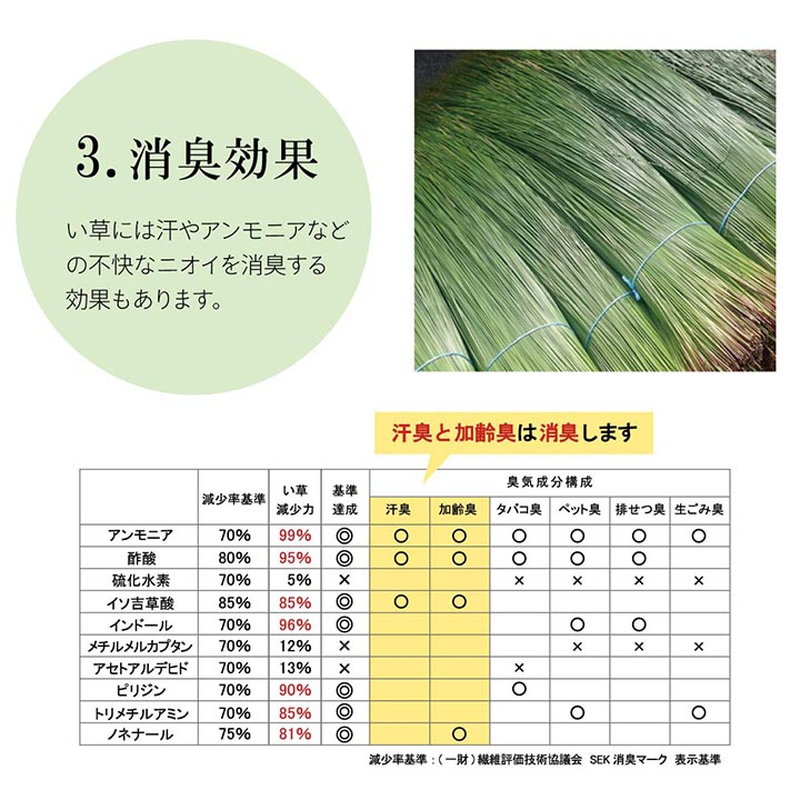 い草ラグ い草カーペット 高級 沖縄ビーグ敷き 長方形 191×250cm おしゃれ 滑り止め 不織布貼り_12
