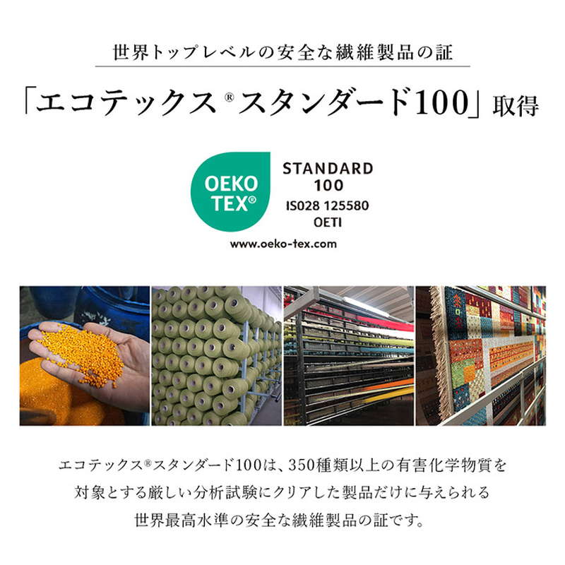 玄関マット ラグマット 屋内 室内用 70x120cm トルコ製 ウィルトン織 クラシカル エレガンス柄 抗菌防臭 消臭 ソファー前 ベッドサイド｜kanaemina-kagu｜09