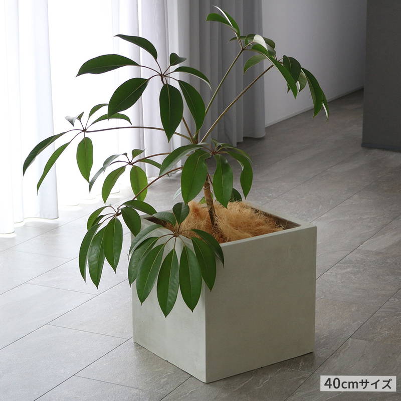 プランター 植木鉢 大型 正方形 大小2個セット 40/50cm幅 石調FRP