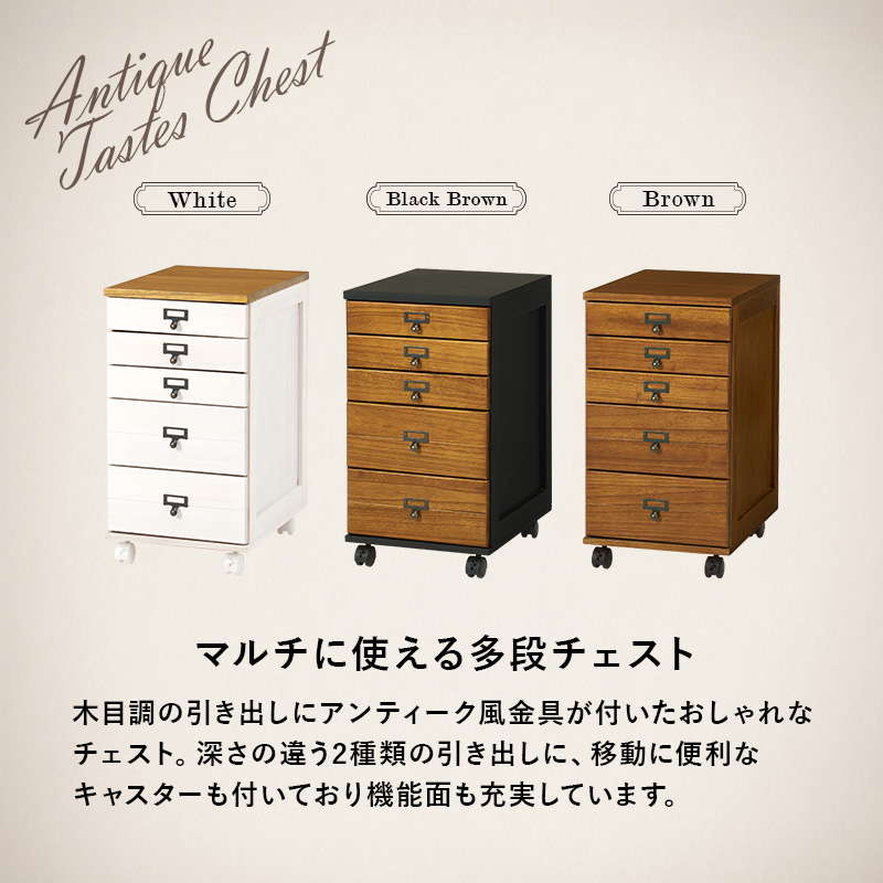 HAGiHARA（萩原） 書類棚 多段チェスト 収納棚 引き出し 5段 A4 B4